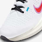 Nike Winflo 10 SE 男款路跑鞋