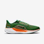 FAMU Pegasus 41 Men's Nike College Road Running Shoes