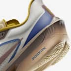 Nike Zoom Fly 6 PRM Men's Road Racing Shoes
