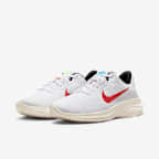 Nike Flex Experience Run 11 SE 男款路跑鞋