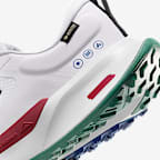 Nike Juniper Trail 2 GORE-TEX Men's Waterproof Trail-Running Shoes