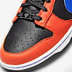 Nike Dunk Low Retro Men's Shoes
