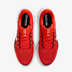 Cleveland Browns Pegasus 41 Men's Nike NFL Road Running Shoes