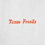 ナイキ ACG メンズ Tシャツ