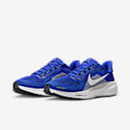 Kentucky Pegasus 41 Men's Nike College Road Running Shoes