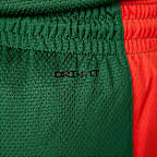 Short de basket Nike Lituanie Limited Road pour Homme