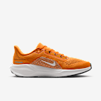 Tennessee Pegasus 41 Men's Nike College Road Running Shoes