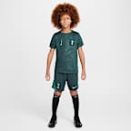 Tottenham Hotspur Academy Pro Third Older Kids' Nike Dri-FIT Football Pre-Match Top