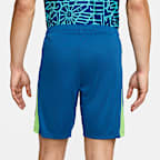 Brazil Academy Pro Men's Nike Dri-FIT Football Knit Shorts