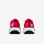 Ohio State Pegasus 41 Men's Nike College Road Running Shoes