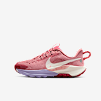 Nike Pegasus Trail 5 Big Kids' Trail Running Shoes