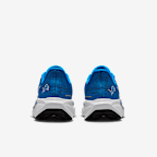 Detroit Lions Pegasus 41 Men's Nike NFL Road Running Shoes