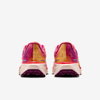 Nike Pegasus 41 SE Women's Road Running Shoes