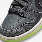 Nike Dunk Low SE Older Kids' Shoes