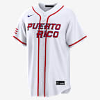 Martín Maldonado Puerto Rico National Baseball Team 2026 World Baseball Classic Men's Nike Stadium Jersey - White