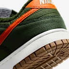 Nike Dunk Low Retro Next Nature Men's Shoes