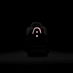 Nike Venture Runner Women's Shoe