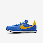 Nike Waffle Trainer 2 Big Kids' Shoes