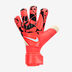 Bright Crimson/Czerń/Royal Tint