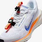 Nike Pegasus EasyOn Blueprint Women's Road Running Shoes