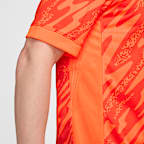 England (Women's Team) 2024/25 Stadium Goalkeeper Men's Nike Dri-FIT Football Replica Short-Sleeve Shirt