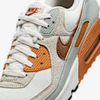Nike Air Max 90 Men's Shoes