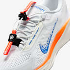 Nike Pegasus EasyOn Blueprint Men's Road Running Shoes