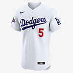 Freddie Freeman Los Angeles Dodgers 2024 World Series Champions Men's Nike Dri-FIT ADV MLB Elite Jersey