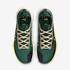 Nike Pegasus Trail 4 GORE-TEX Men's Waterproof Trail-Running Shoes