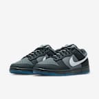 Nike Dunk Low Men's Shoes