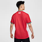 Nike SB Japan Men's Dri-FIT ADV Short-Sleeve Skate Top