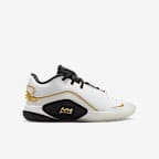 LeBron XXII Split Big Kids' Basketball Shoes
