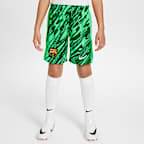 Calções de futebol de réplica Nike Dri-FIT do equipamento de guarda-redes Stadium FC Barcelona 2024/25 Júnior