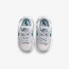 Nike Dunk Low Baby/Toddler Shoes