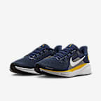 Michigan Pegasus 41 Men's Nike College Road Running Shoes