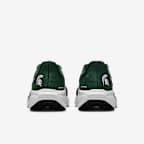 Michigan State Pegasus 41 Men's Nike College Road Running Shoes