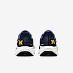 Michigan Pegasus 41 Men's Nike College Road Running Shoes