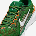 FAMU Pegasus 41 Men's Nike College Road Running Shoes