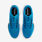 Carolina Panthers Pegasus 41 Men's Nike NFL Road Running Shoes