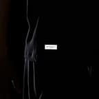 Nike Men's Dri-FIT Fitness T-Shirt