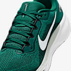 Philadelphia Eagles Pegasus 41 Men's Nike NFL Road Running Shoes
