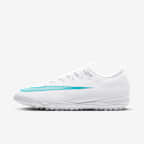 White/Dusty Cactus