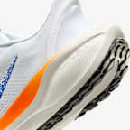 Nike Pegasus EasyOn Blueprint Men's Road Running Shoes