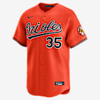 Adley Rutschman Baltimore Orioles Men's Nike Dri-FIT ADV MLB Limited Jersey