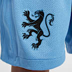 Netherlands 2025/26 Stadium Away Older Kids' Nike Dri-FIT Football Replica Shorts