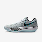 Pure Platinum/Dusty Cactus/Glacier Blue/Metallic Silver