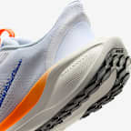 Nike Pegasus EasyOn Blueprint Women's Road Running Shoes