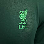 Liverpool F.C. Victory Men's Nike Dri-FIT Football Polo