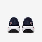 Chicago Bears Pegasus 41 Men's Nike NFL Road Running Shoes