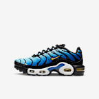 Nike Air Max Plus Big Kids' Shoes